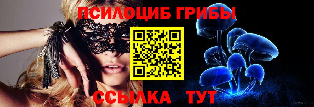 Галлюциногенные грибы ЛСД  Галлюциногенные грибы Psilocybe  Вход с VPN  Павлово 
